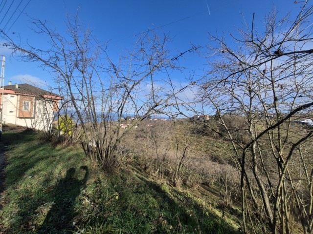 LAND FOR SALE WITH NATURE AND SEA VIEW IN TRABZON ÇİLEKLİ
