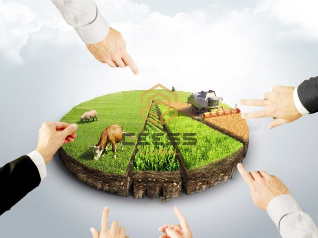 CEESS GLOBAL ARSA - ARAZİ YATIRIM DANIŞMANLIK HİZMETLERİ