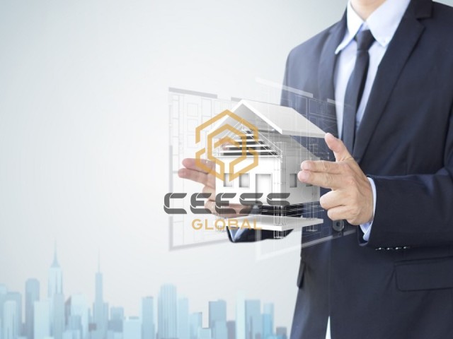 CEESS Global Danışmanları Neler Yapar?