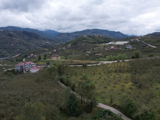 11.788 m² LAND FOR SALE IN TRABZON ORTAHISAR AKOLUK