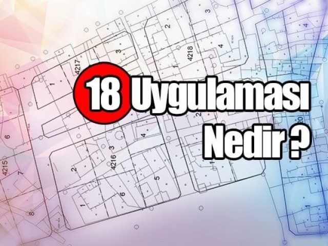 Article 18 Application: A Key Step in the Real Estate Development Process