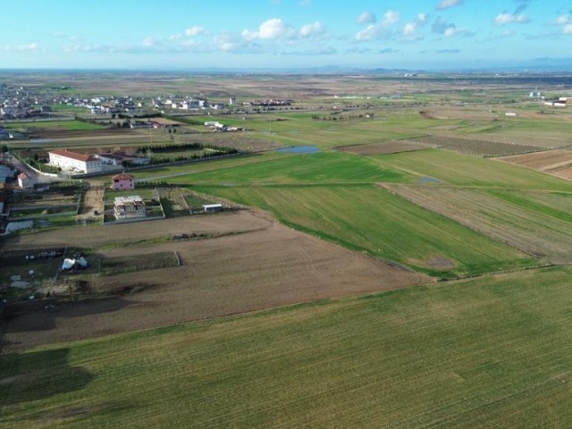 FIELD FOR SALE IN KIRKLARELI NEIGHBORING ZONING