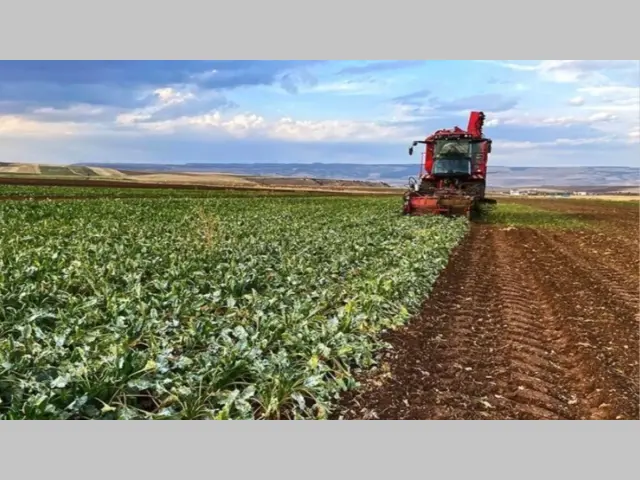 Return to the Village Begins: A New Page Opens in Agriculture for Young People