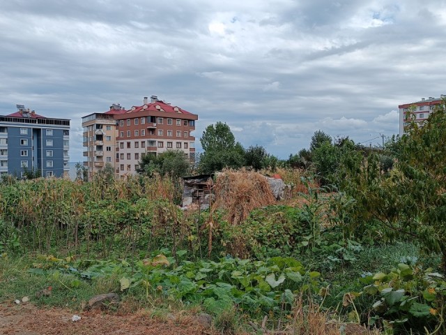 RESIDENTIAL ZONING LAND FOR SALE IN TRABZON AKÇAABAT KAVAKLI