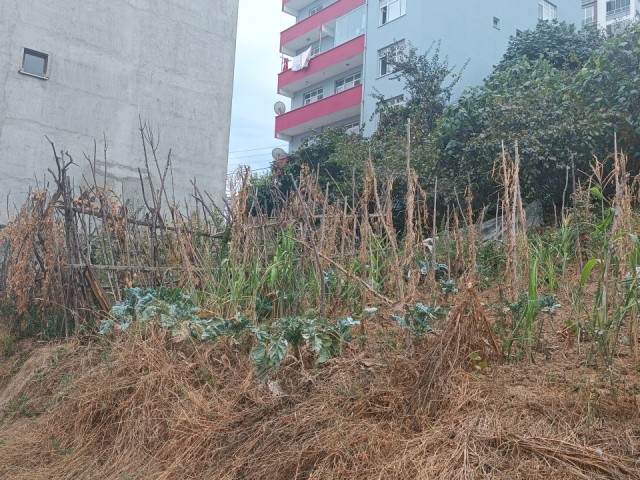 RESIDENTIAL ZONING LAND FOR SALE IN YOMRA KASHÜSTÜ