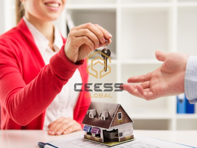 CEESS Global: Full Service Experience in Buying and Selling Real Estate