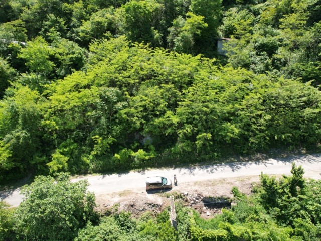 LAND FOR SALE WITH NATURE VIEW IN TRABZON MAÇKA SOUTH