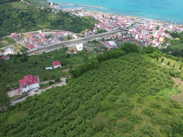 LAND FOR SALE WITH SEA AND NATURE VIEW IN CARSIBASI BUYUKDERE