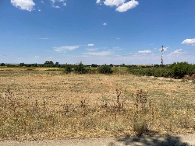 INVESTMENT LAND FOR SALE IN UZUNKÖPRÜ BAŞAĞIL, EDIRNE